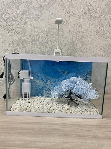 Akvariumlar: Hazır 12 Litr akvarium seti. İşlənməyib yenidir. Başqa yeni digər — 2