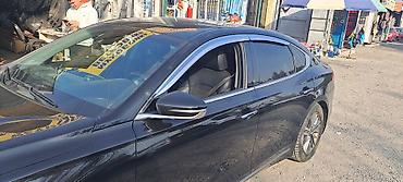 Ветровики и мухобойки: Toyota, Новый — 3