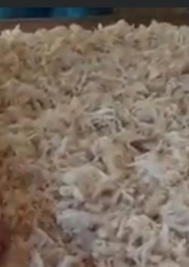 çilədağı bitkisi rus dilində: Xalça Kredit yoxdur — 1