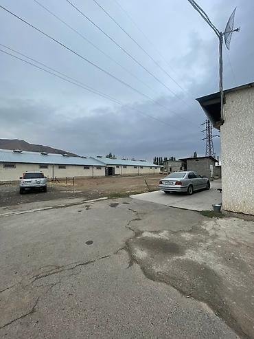 Лошади, кони: Продаю | Кобыла (самка), Конь (самец), Жеребец | На забой | Мерин — 10