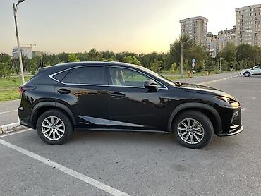 lexus: Lexus NX: 2020 г., 2.5 л, Автомат, Гибрид, Кроссовер — 3