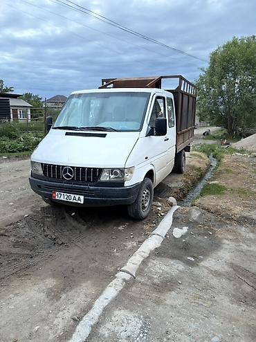 Mercedes-Benz Спринтер: 1999 г., 2.9 л, Механика, Дизель, Фургон