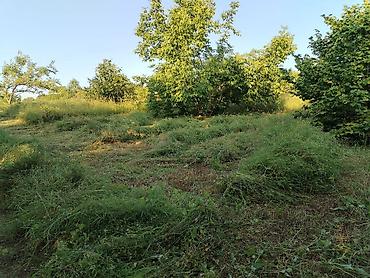 sahab mtk satilan evler: 7 sot, Tikinti, Maklerlər narahat etməsin, Kupça (Çıxarış) — 10