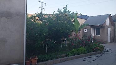 Həyət evləri və villalar: Binəqədi qəs. 6 otaqlı, 150 kv. m, Orta təmir — 5
