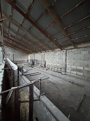 Аренда участков: 4 соток Для бизнеса, Электричество, Водопровод — 5