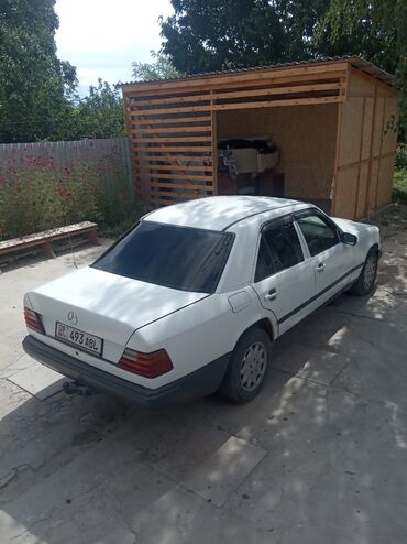 Mercedes-Benz: Mercedes-Benz 230: 1989 г., 2.3 л, Механика, Бензин, Седан