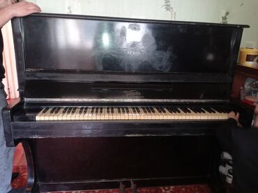 fortepiano satisi: Fortepiano Kuban hec bir problemi yoxdu 5-6ay olar koklenib Qiymet