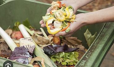 Все для дома и сада: Органические кухонные отходы для компостирования - Сырьё: очистки и — 1