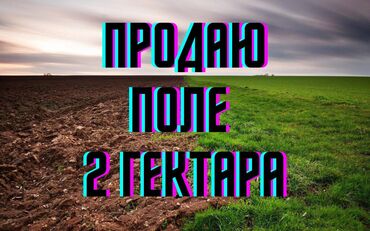 село луговое: 🌱 Сатылат жер — 2 гектар 🌱 📍 Жайгашкан жери: Чоң-Далы айылы, борбордук