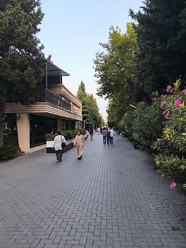 Uzunmüddətli kirayə mənzillər: Salam, Kirayyə Təzə Tikili Gənclik Metrosuna + Atatürk Parkına Çox — 2