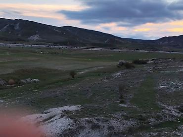 cülyan kəndi: Kənd təsərrüfatı, Kupça (Çıxarış), Müqavilə — 2
