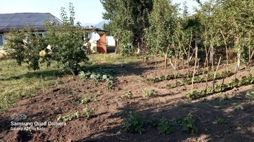 Həyət evləri və villaların satışı: 6 otaqlı, 150 kv. m, Orta təmir — 56