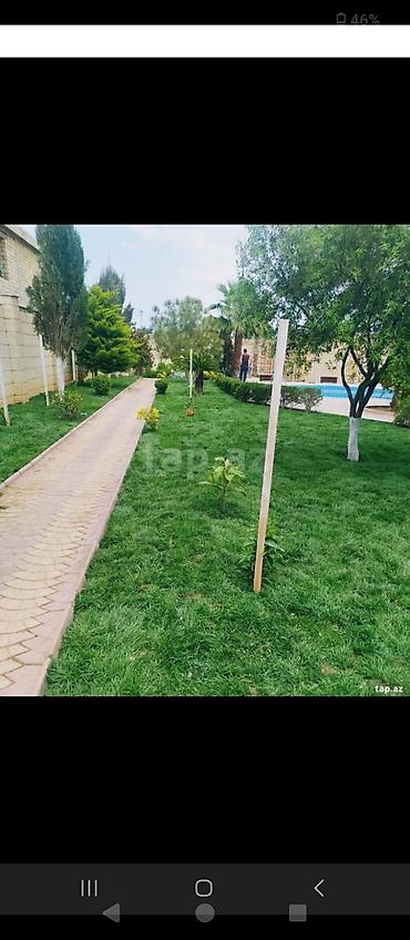 landşaft dizayn: Bağ abadlaşdırma və landşaft xidmətləri - Həyətyanı sahələrin — 1