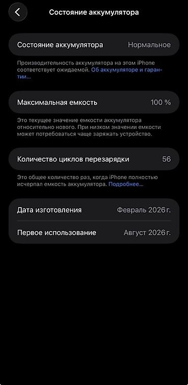 холодильник в рассрочку: IPhone 17 Pro Max, Новый, 256 ГБ, Серебристый, Зарядное устройство, Защитное стекло, Чехол, 100 % — 2