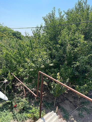sirvanda evler: Ev satilir oz evimdir her bir şeraiti var İmişli rayonunda yerleşir — 9