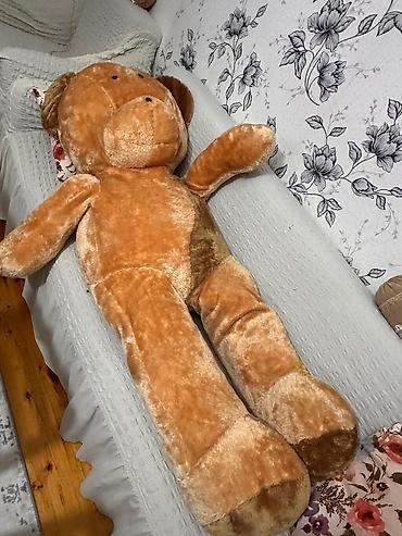 ceburaska oyuncaq: Nəhəng plyuş ayı oyuncağı - Təxminən insan boyunda, çox iri ölçülü — 4