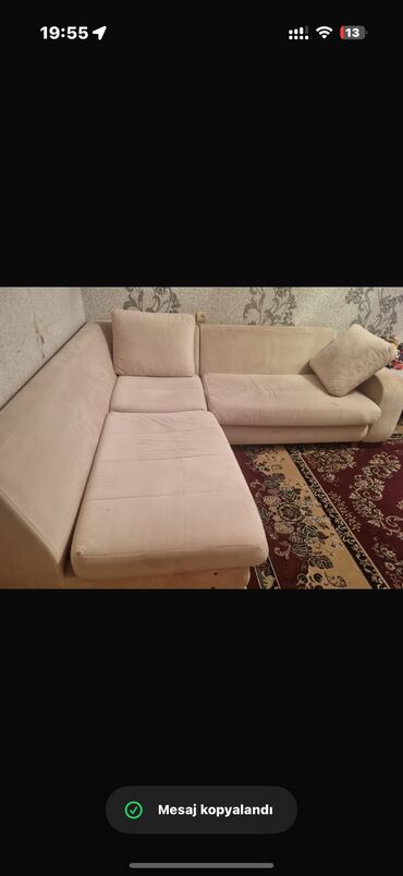 Bitkilər: Künc divan, İşlənmiş