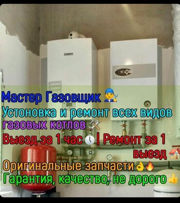 Аквариумы: Ремонт газовых котлов установка газовых котлов настенные всех видов