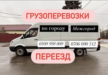 работа за границей по контракту бишкек: Бус, Көчүү, эмеректерди көчүрүү, Регион боюнча, Шаар ичинде, Өлкө боюнча, жүк ташуучу жумушчусу жок