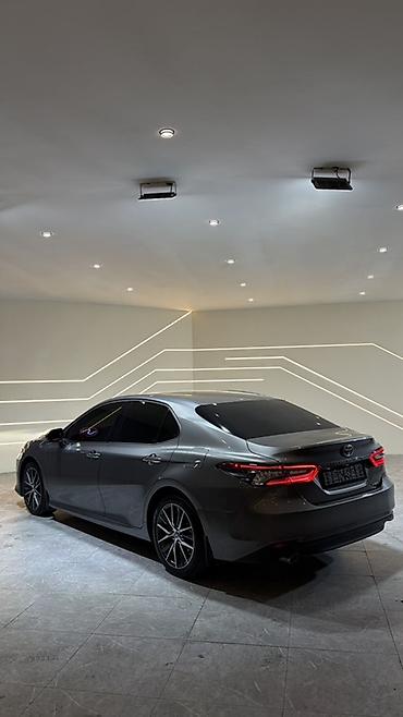 баковой стекло: Toyota Camry: 2023 г., 2.5 л, Автомат, Гибрид, Седан — 4