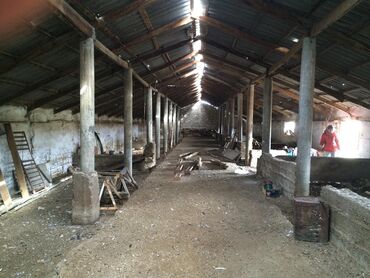 Продажа участков: 120 соток, Для сельского хозяйства, Красная книга — 4