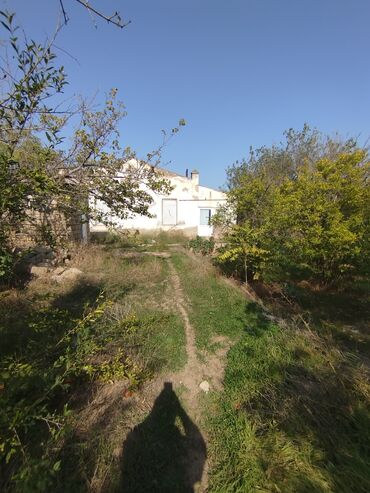 Videomüşahidə: Merkanda kupçalı 14 sot torpaq satılır içinde köhne tikili var yol — 10