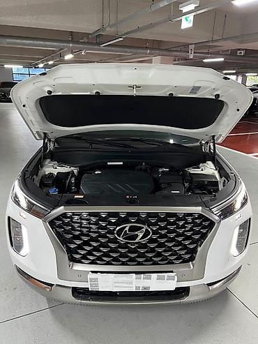 Hyundai: Hyundai Palisade: 2021 г., Кроссовер — 32