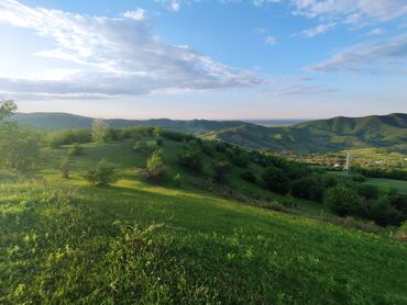 ‎naxcivan masin elanları 2021: 40 соток, Для сельского хозяйства, Купчая