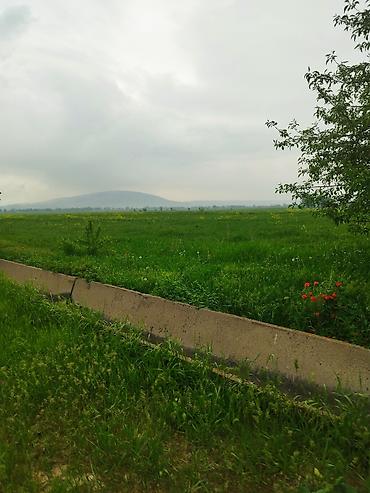 село арчалы: 106 соток, Для сельского хозяйства, Договор купли-продажи — 6