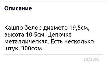Другие комнатные растения: Сенсивьерия (Тещин язык) . Неприхотливый цветок. Растёт на солнце и в — 9