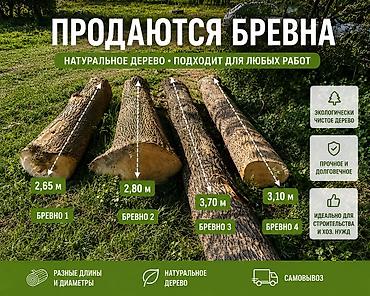Бревна ЯСЕНЯ (крупный мерный лес) Подходят для изготовления досок. 10 at lalafo.kg — 2 Бревна ЯСЕНЯ (крупный мерный лес) Подходят для изготовления досок. 10 — 2