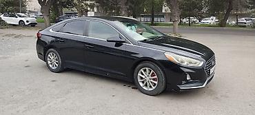 лабавой саната: Hyundai Sonata: 2019 г., 2.4 л, Автомат, Бензин, Седан — 7