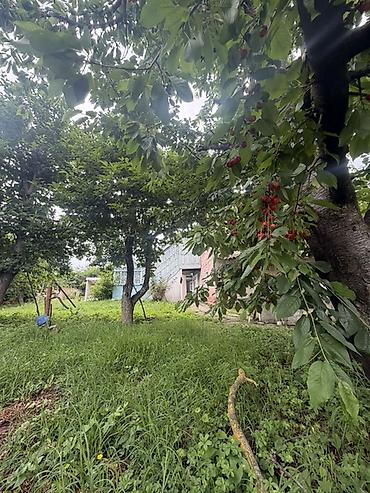 Torpaq sahələrinin satışı: 25 sot, Mülkiyyətçi, Kupça (Çıxarış) — 12