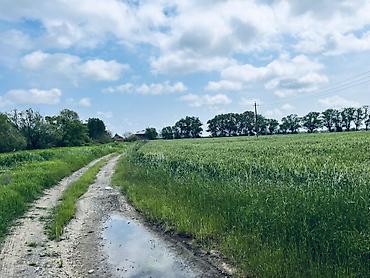 Torpaq sahələrinin satışı: Kənd təsərrüfatı, Kupça (Çıxarış) — 2