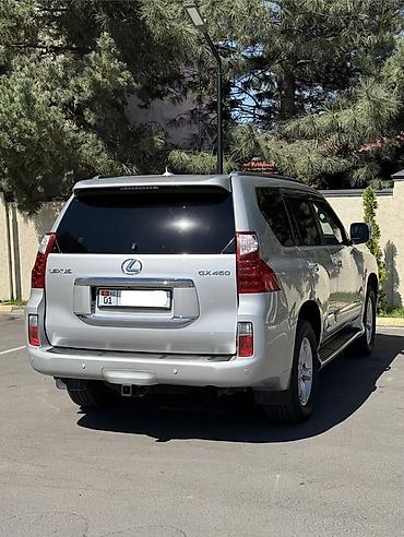 руль gx460: Lexus GX: 2010 г., 4.6 л, Автомат, Бензин, Внедорожник — 2