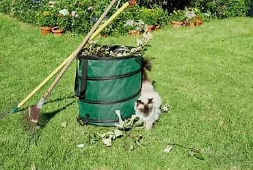 amfore za cvece: Parkside Pop-Up Garden Waste Bag – sklopiva bašta vreća za zeleni — 8
