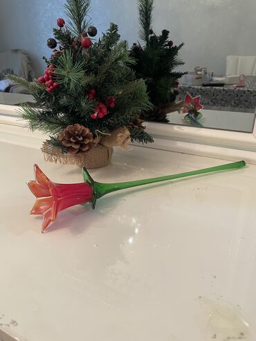 balakən toxum mmc: 100 azn bogema Lale gulu xrustal