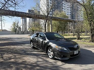 renault koleos: Toyota Camry: 2009 г., 2.5 л, Автомат, Бензин, Седан — 3
