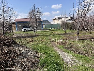дом сколько стоит: Продаю дом село Кок жар участок 8,5 сотых свет, вода,газ — 4