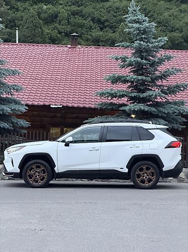 Toyota: Toyota RAV4: 2023 г., 2.5 л, Автомат, Гибрид, Внедорожник — 5