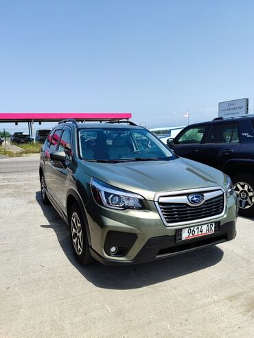 шевроле спарк 2017 цена: Subaru Forester: 2019 г., 2.5 л, Типтроник, Бензин, Кроссовер