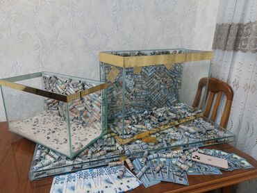 Akvariumlar: Dolar Akvaryum. 22 litir 40 man 35 litir. 60 man 80 litir 90 man Bu — 3