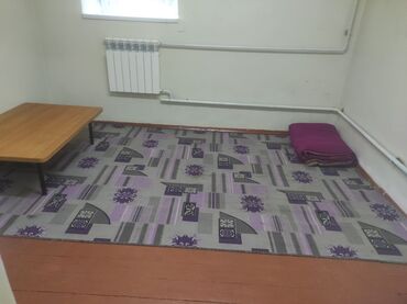 квартира барбы: 14 кв. м, Эмереги менен