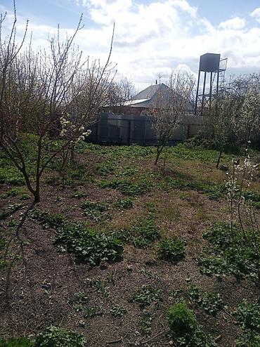 4 otaqli yeni tikili evler: 6 sot, Tikinti, Mülkiyyətçi, Kupça (Çıxarış) — 4