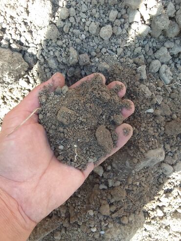 Torf: Torf kakabit peyin qara torpaq satışı 150 ədədən çox alana -da lalafo.az — 21 Torf: Torf kakabit peyin qara torpaq satışı 150 ədədən çox alana — 21