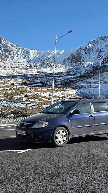 ферари машина: Toyota Corolla: 2005 г., 1.6 л, Механика, Бензин, Универсал — 9