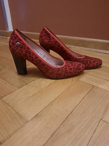 ženska obuća veliki brojevi: Ženske salonke sa leopard printom - Model: klasične salonke sa — 2
