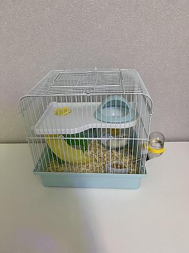Другие животные: 30azn satılır Hamster qəfəs,qum, yemi hamısı bir yerdə — 3