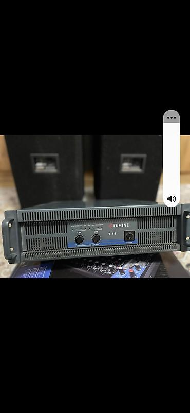 айфон 3gs: Профессиональный усилитель мощности TUMINE T-11 - Двухканальный — 1