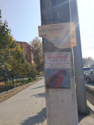 Продажа домов: Дом, 80 м², 4 комнаты, Собственник, Старый ремонт — 2